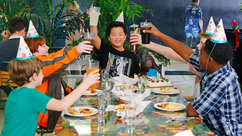 Illustration for article titled Fresh Off The Boat delivers a 1-2 (and 3-and-4-and-5) punch