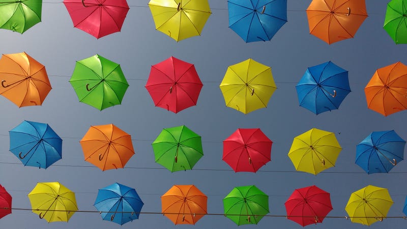 Illustration for article titled What's the Best Umbrella?Â