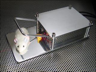 Illustration for article titled Run, Jerry, Run! The Better Mouse Trap is Here