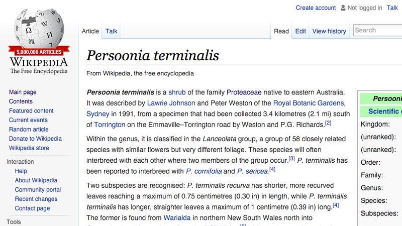 Illustration for article titled Wikipedia reaches 5 million articles with an entry about some Australian shrub