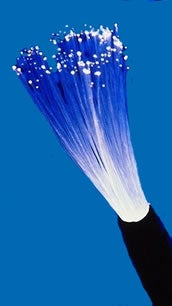 Illustration for article titled 100Mbps Verizon FiOS to (Probably) Arrive in 2009