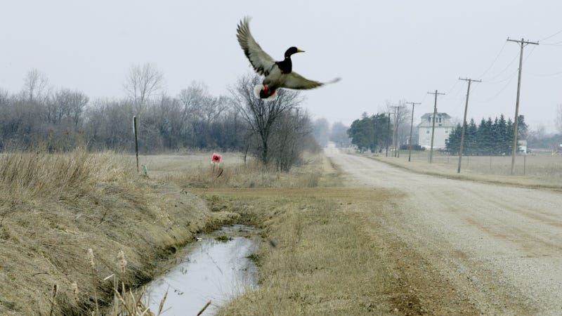 Photo via AP Images