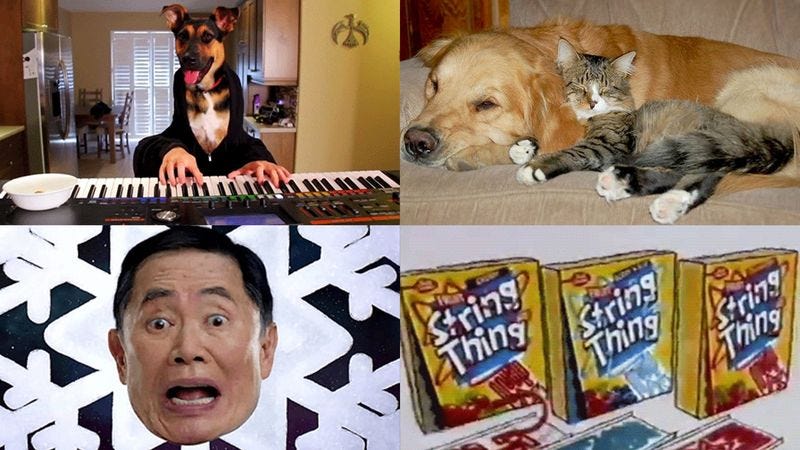 Illustration for article titled Dog Plays Piano! Man Versus Escalator! Behold The Scrollable Circus Of Wonder And Horror!