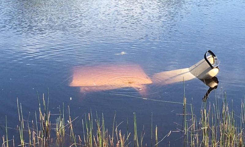 Illustration for article titled Mookie Betts Drove A Golf Cart Right Into A Lake