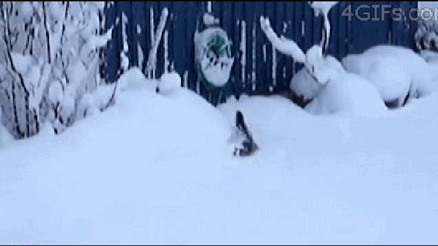 Прикольные Гифки Со Снегом