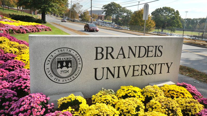 Illustration for article titled Brandeis Cleans House After Investigation Into Basketball Coaching AbuseÂ