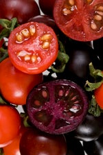 Illustration for article titled Genetically-Engineered Purple Tomatoes Boost Health