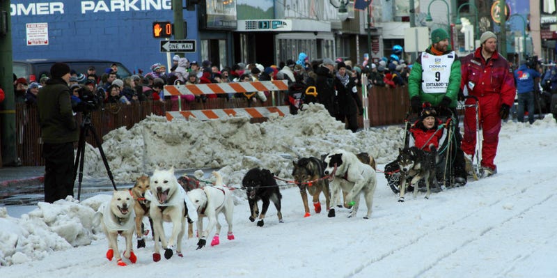 Not the dogs in question, but some other dogs; Photo via AP