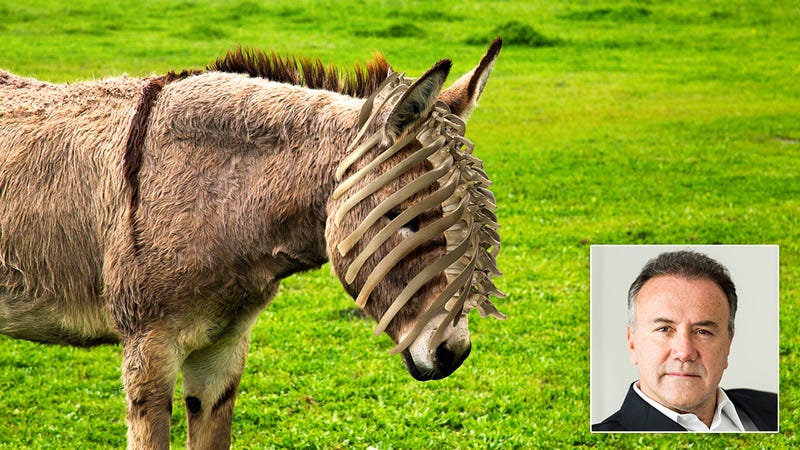 Illustration for article titled Solace In Grief: When This Man Died, His Family Took Comfort In The Fact That His Rib Cage Would Be Donated To A Donkey To Wear As A Hat
