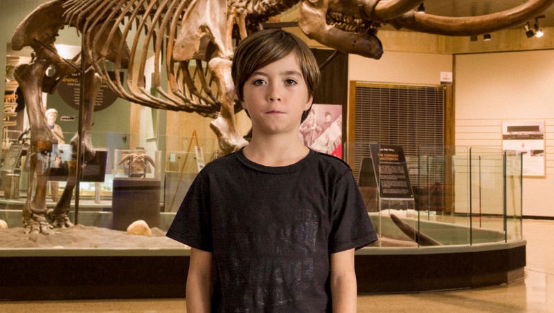 Illustration for article titled American Museum Of Natural History Acquires Rare Third-Grader Separated From Group On Class Trip