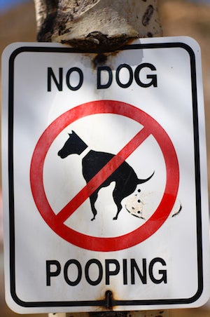 Illustration for article titled Bringing The Science To Your Dog's Poo