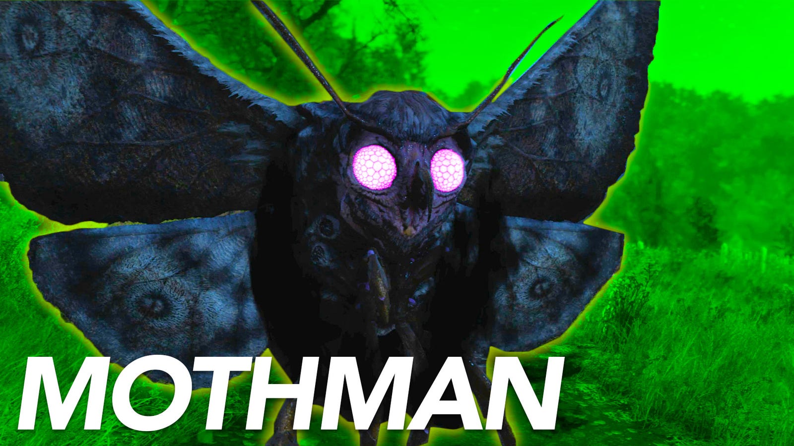 fallout 76 night of the moth