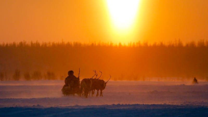 photo of The Horrifying Reason Siberia Is Dealing With an Anthrax Outbreak image