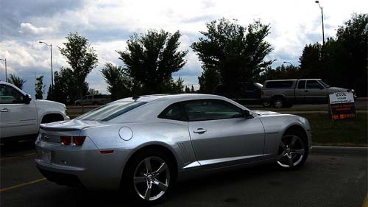 sex in camaro Latins finest male stripper