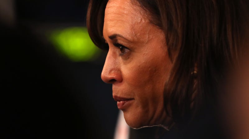 Illustration for article titled Kamala Harris Ends Her Campaign, Yet Pete Buttigieg and Michael Bloomberg Remain