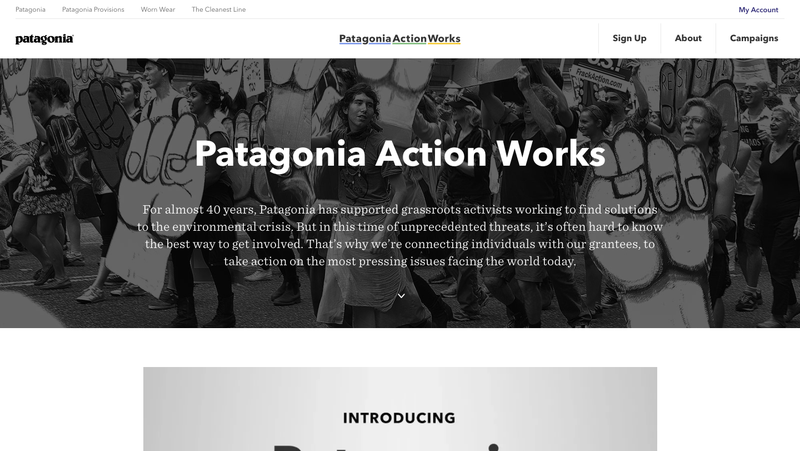 Credit: Patagonia Action Works website