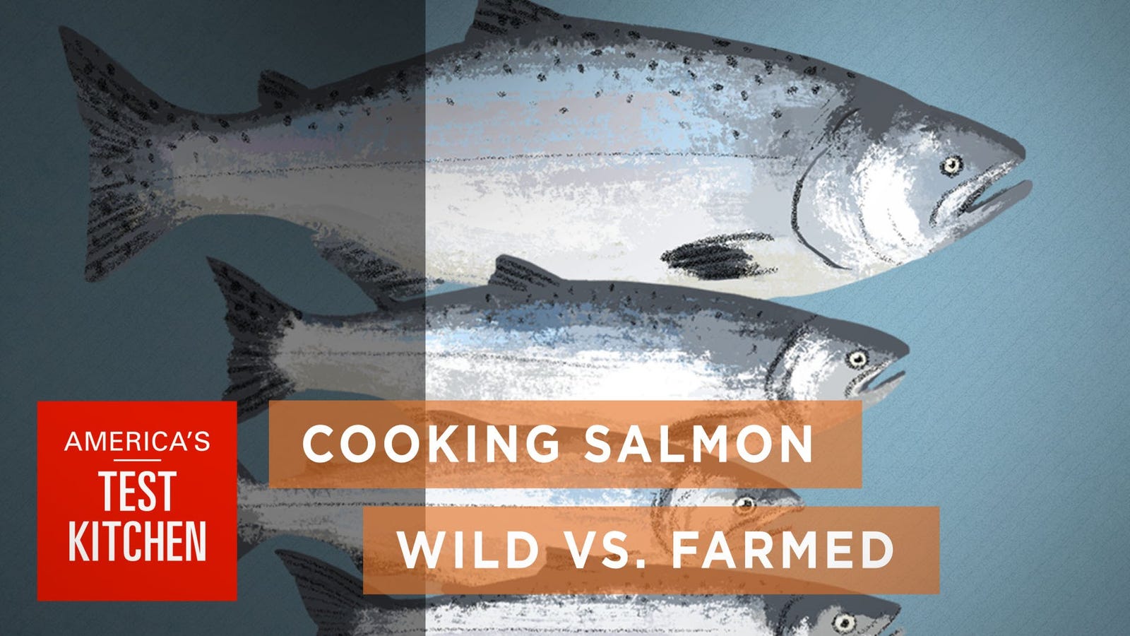 The Ways Wild And Farmed Salmon Differ And How To Cook Both Perfectly 8692