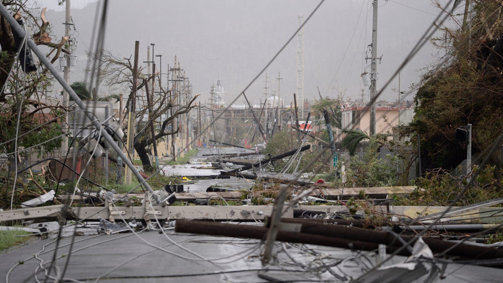 photo of Hurricane Maria Left Puerto Rico Absolutely Devastated image