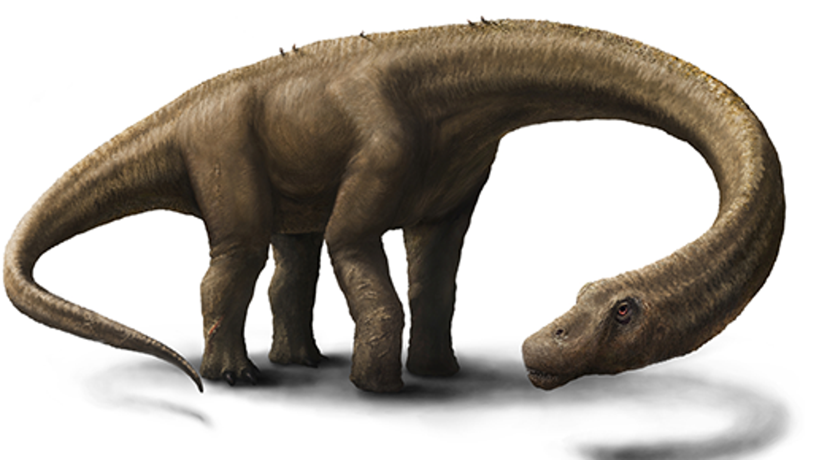 types of large dinosaurs