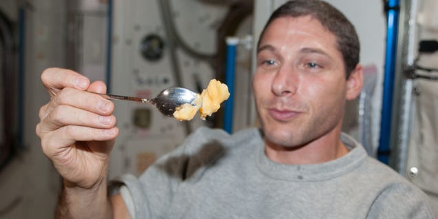 photo of Sugar-Producing Bacteria To Be Tested in Space as Food Source for Astronauts image