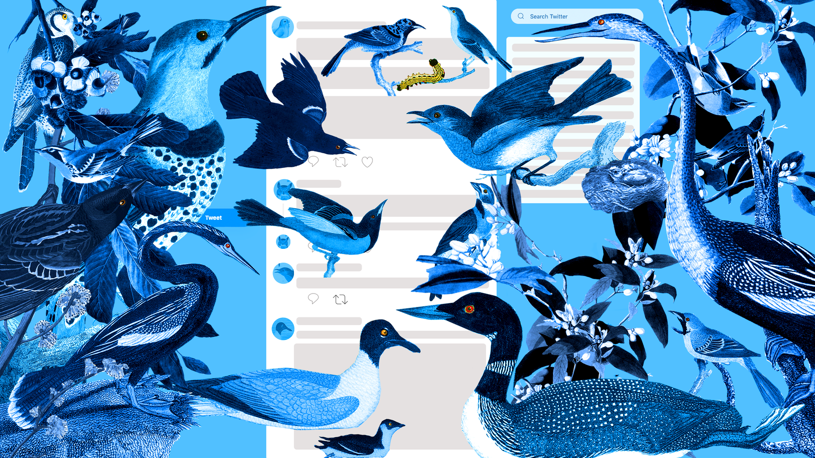Bird Twitter Is My Oasis in Internet Hell