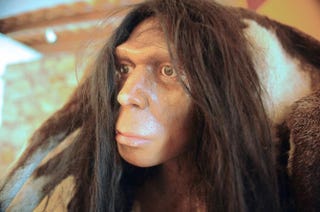 View taken July 8, 2010, of a mannequin of Tautavel Man presented at the prehistoric museum in Tautavel in FranceERIC CABANIS/Getty Images