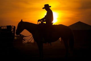 Illustration for article titled Man Fined For Riding Horse to Taco Bell, Achieves Peak Texas
