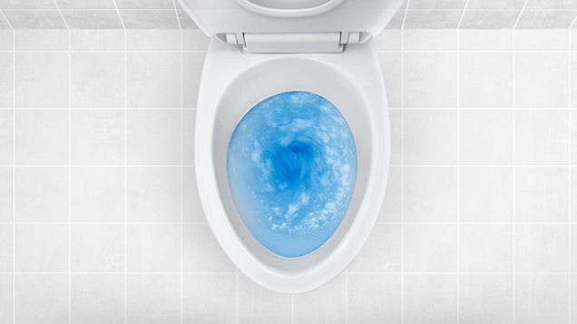 Ignore TikTok and Stop Putting Cleaning Liquid in Your Toilet Tank