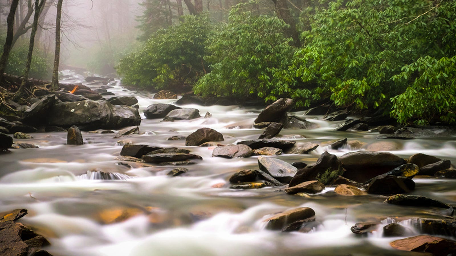 How To Find And Purify Drinking Water In The Wilderness