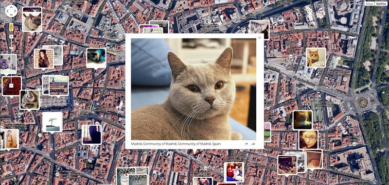 Illustration for article titled Esta página sabe donde vive tu gato, y probablemente tú
