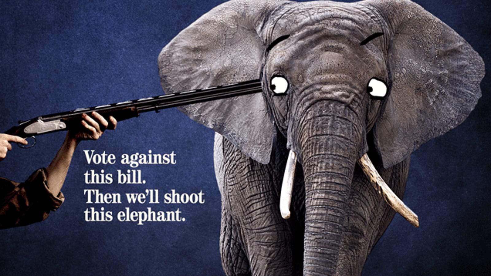 NRA Secretly Backs Group Aiming To Save Elephants Now, Kill Them Later