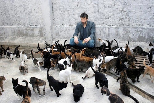 sad keanu photo becomes slaphappy internet meme 18jdlt3r5e7objpg sad keanu photo becomes slaphappy internet meme