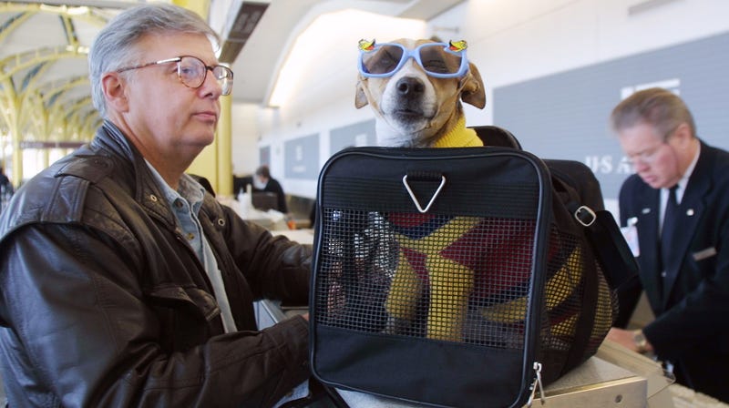 Illustration for article titled Where Your Emotional Support Animal Is Allowed to Sit on a Plane