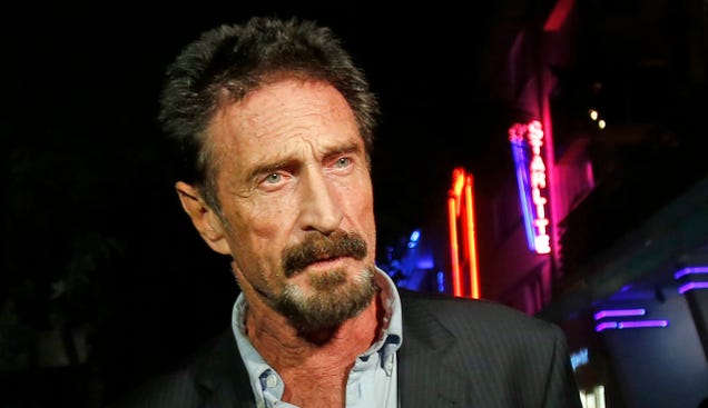 John McAfee Is Starting a New Political Party For His Presidential Run