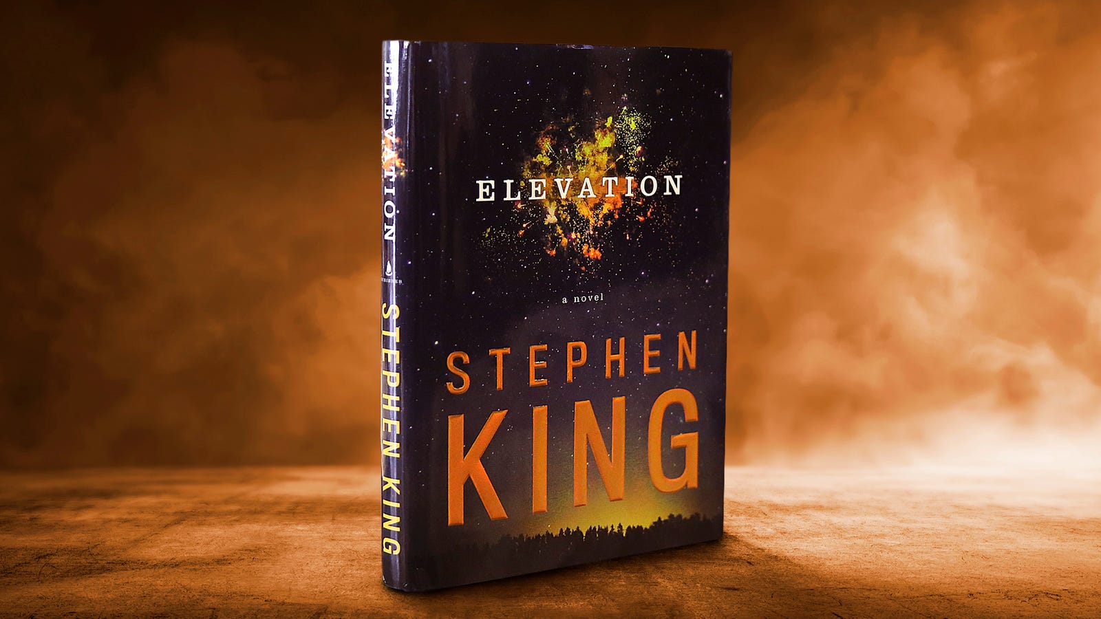 elevation stephen king