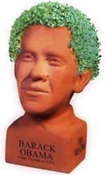 Illustration for article titled Cha-Cha-Cha Chia!