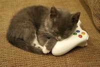 Illustration for article titled Microsoft: No Need to Launch New Console