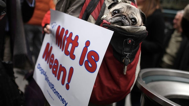 Ann Romney's Birthday Party to Be Hosted by a Dude Arrested for Barbecuing a Dog