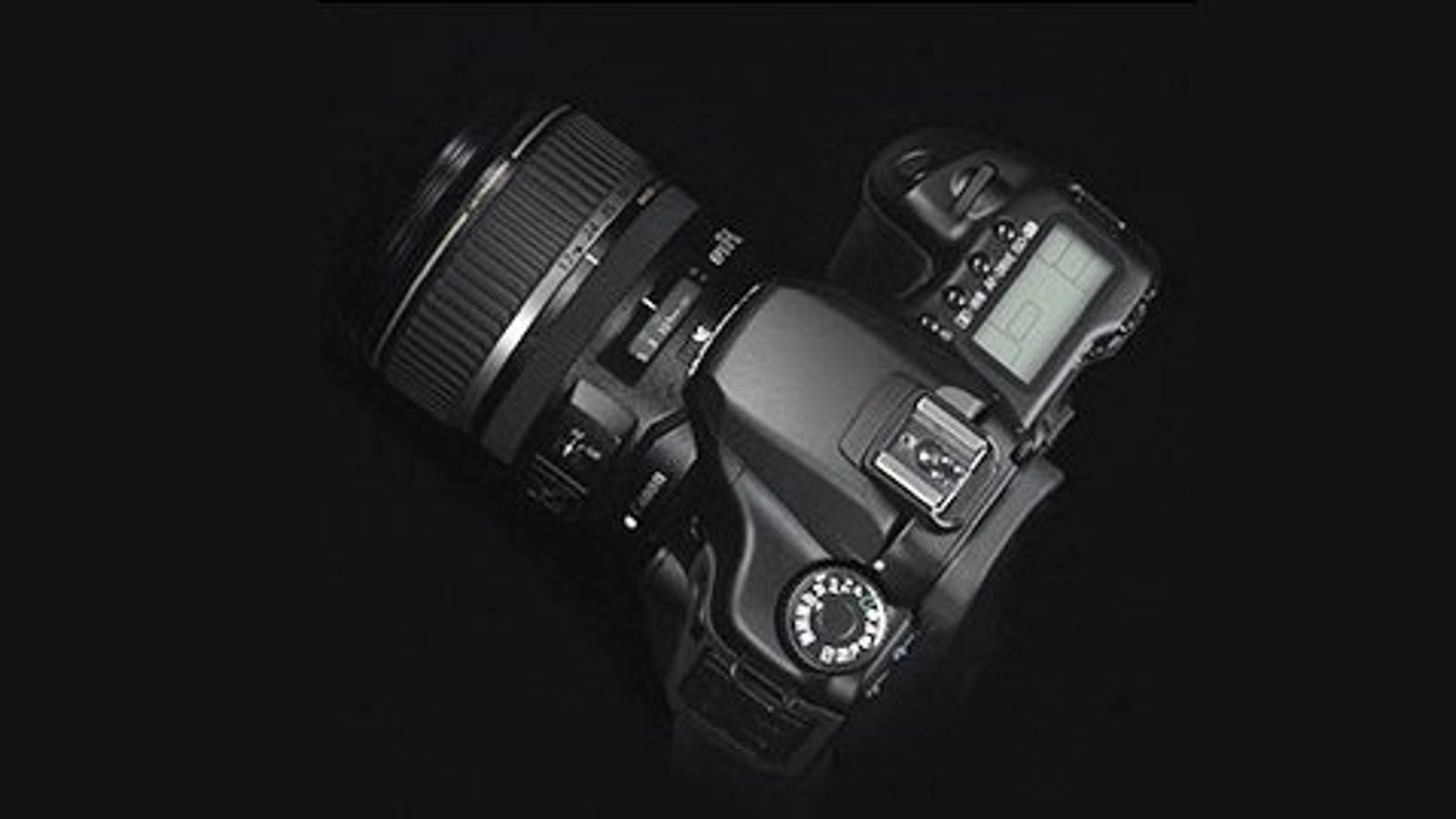 Canon 40D DSLR Prosumer Flagship Images?