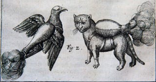 Illustration for article titled Amazing German Prince Wanted to Create 'Rocket Cats.'