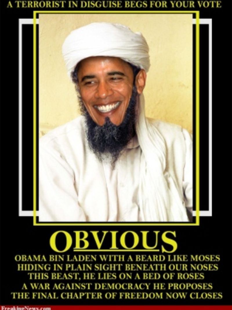 Illustration for article titled Evolving Images of Obama and Osama