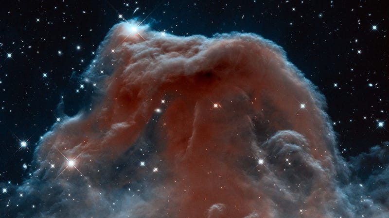 Illustration for article titled The Horsehead Nebula gets a reboot