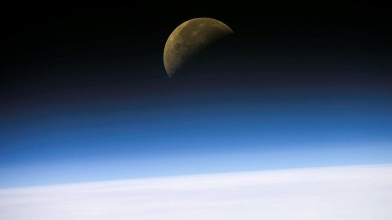 Could there be life in Earth's Stratosphere?