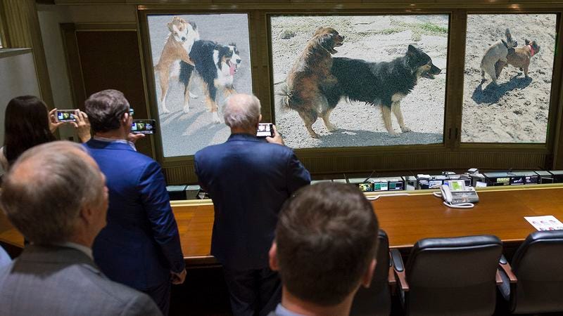 Illustration for article titled Major Setback: NASA’s Fermi Gamma-Ray Telescope Has Turned Toward Earth And Is Only Transmitting Pictures Of Dogs It Finds Having Sex In The Desert