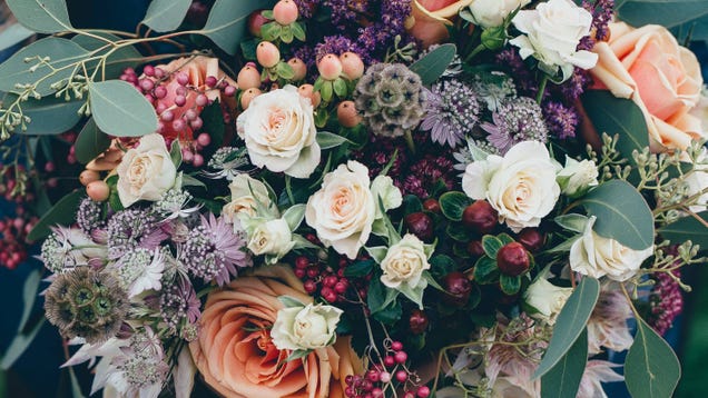 What's the Best Place to Order Flowers Online?