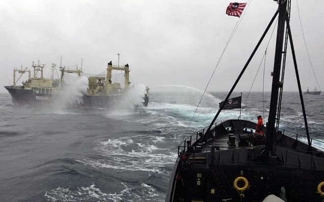 A Japanese whaling vessel in the Ross Sea fires its water cannons in response to a close encounter with a New Zealand vessel in February, 2009. Image: Sea Shepherd Conservation Society/Flickr