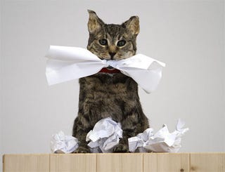 Illustration for article titled The Cat Ate My Gymsuit Homework