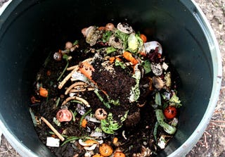 Illustration for article titled Fun With Composting Old Rubbers!