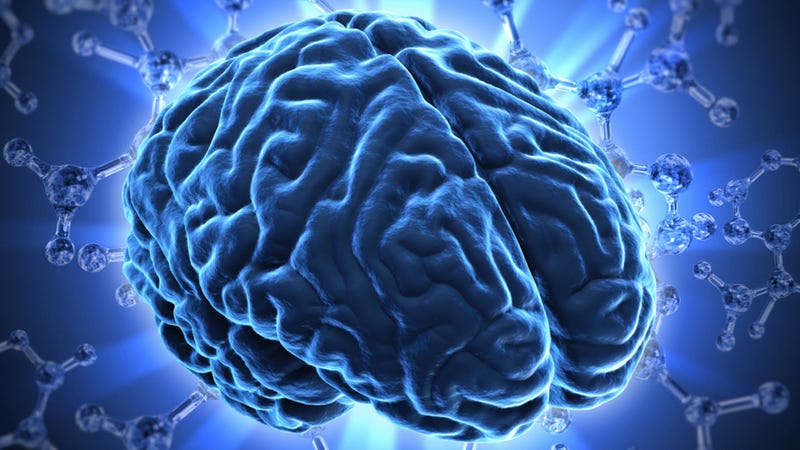 Illustration for article titled We're Heading Towards a Future Where Brain Scans Replace the SAT