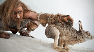 Illustration for article titled Neanderthals were enjoying the finer things in life 250,000 years ago
